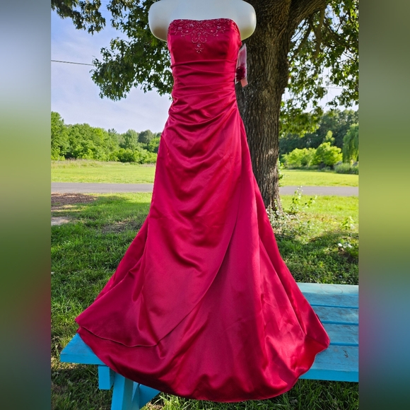 David's Bridal Dresses & Skirts - David's Bridal Apple Red Gown